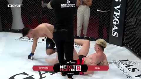 Referees vs Fighters - Craziest And Funniest Moments