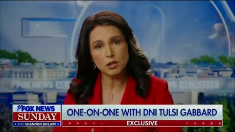 Tulsi Gabbard pushes back on notion that Ukraine has 'freedom'