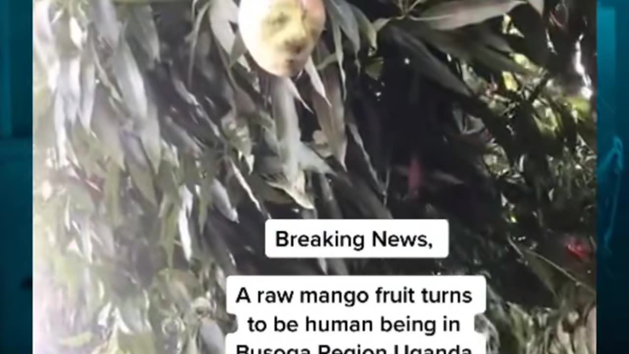 😱👀 What Is That? Creepy Figure Caught on Camera | TheHauntingHour