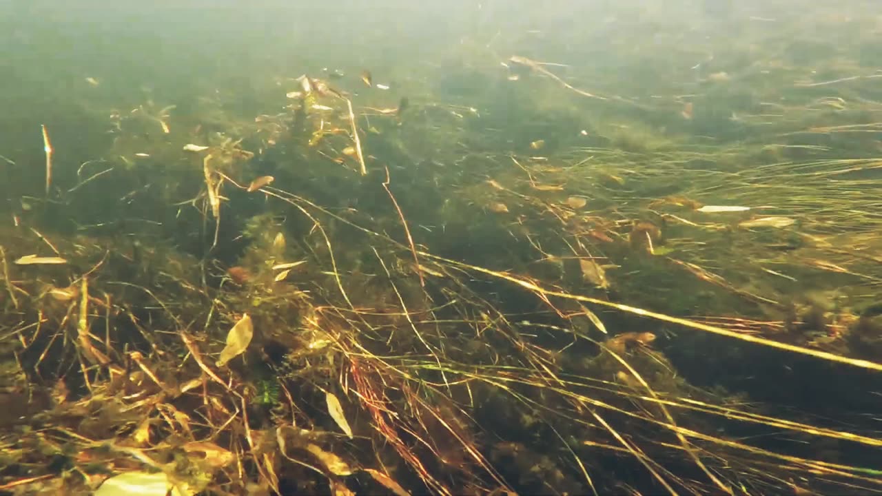 Underwater Adventure