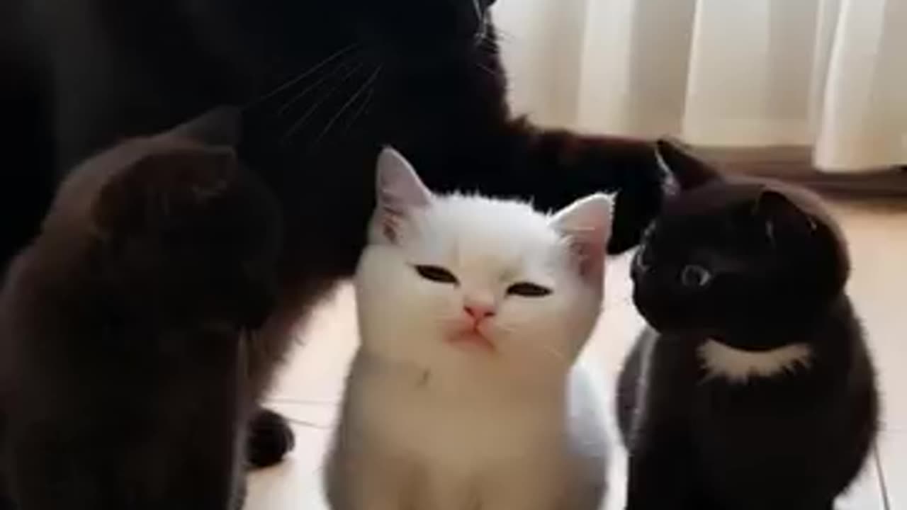 I'm black, why is he white?