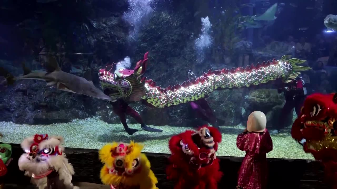 Underwater dragon dance wows tourists for Lunar New Year in Thailand