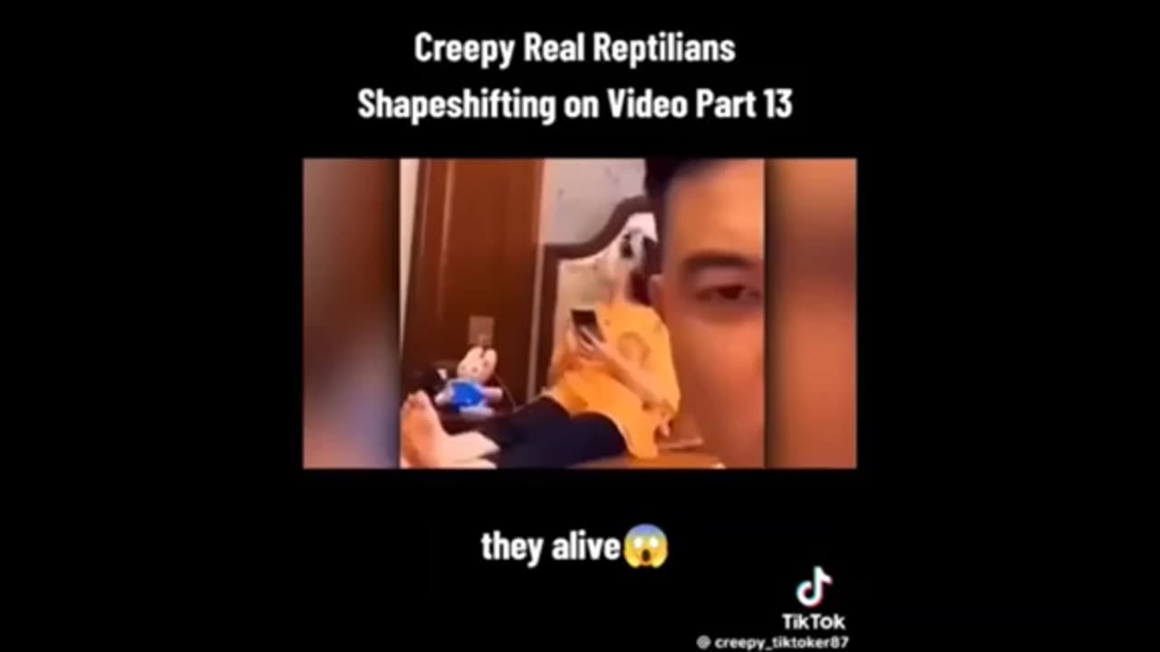 Shapeshifters / Reptilians - you decide ..
