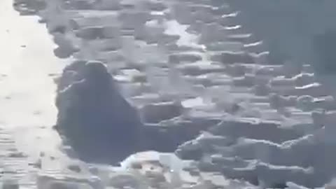 Ukrainian Engineers Cut Through Over Two Meters of Snow