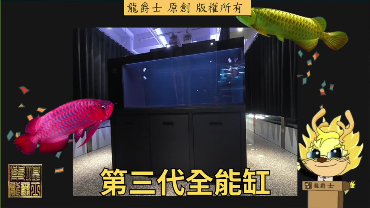 【龍爵士】千問千答 Q230 龍魚得水黴請問濾材要換掉嗎缸子要消毒嗎