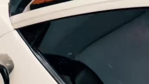 🤔🚘 What Do You Think? Luxury Cars on Display! | LuxurySportsCars