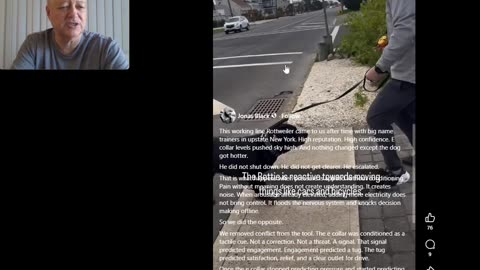 Jonas Black follows the Zak George bribery Playbook via getting a Dog not to Chase Cars