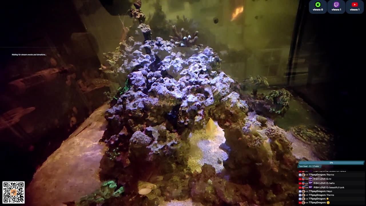 24/7 Real Live Reef Stream