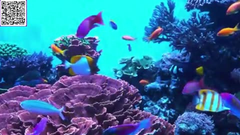 Music of Aquarium 4K VIDEO (ULTRA HD) 🐠 Amazing Beautiful Coral Reef Fish