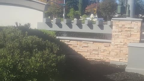 Open air one person protest with no signs no megaphone in Elk Grove California