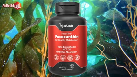 Fucoxantina, Dosis Recomendada