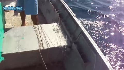 Amazing Automatic Longline Fishing Net Catch Giant Fish - Awesome big catching on the sea