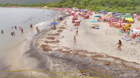 🏖️SUMMER_with_the_BEST_BEACHES_in_B_4k_#riodejaneiro_#beach_#leblon