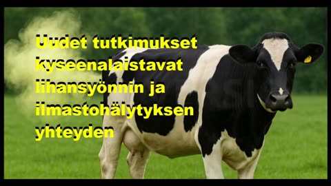 Uudet tutkimukset kyysenalaistavat lihansyönnin ja ilmastohälytyksen yhteyden