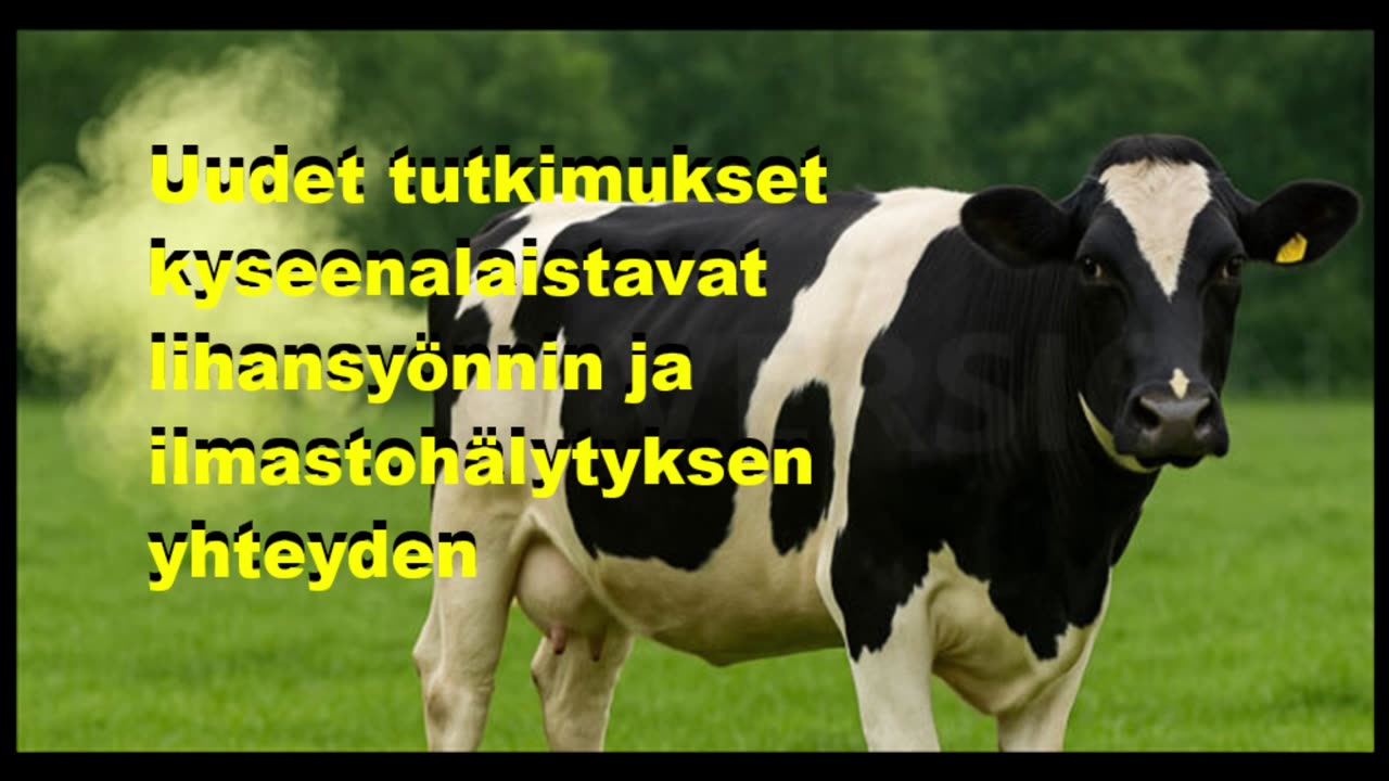 Uudet tutkimukset kyysenalaistavat lihansyönnin ja ilmastohälytyksen yhteyden