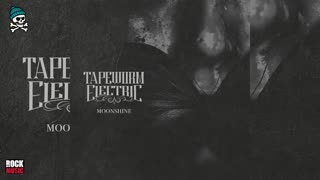 Tapeworm Electric - Moonshine (2025)