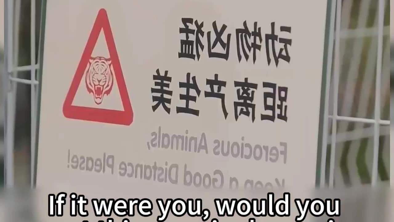 Just a warning — this one is all about betrayal.