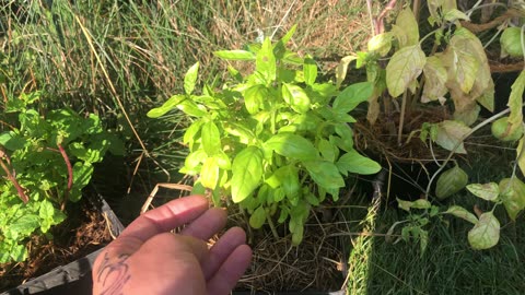 Relocation: we're back on the farm and it's a b...