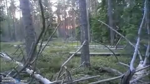 Bigfoot Caught on Camera