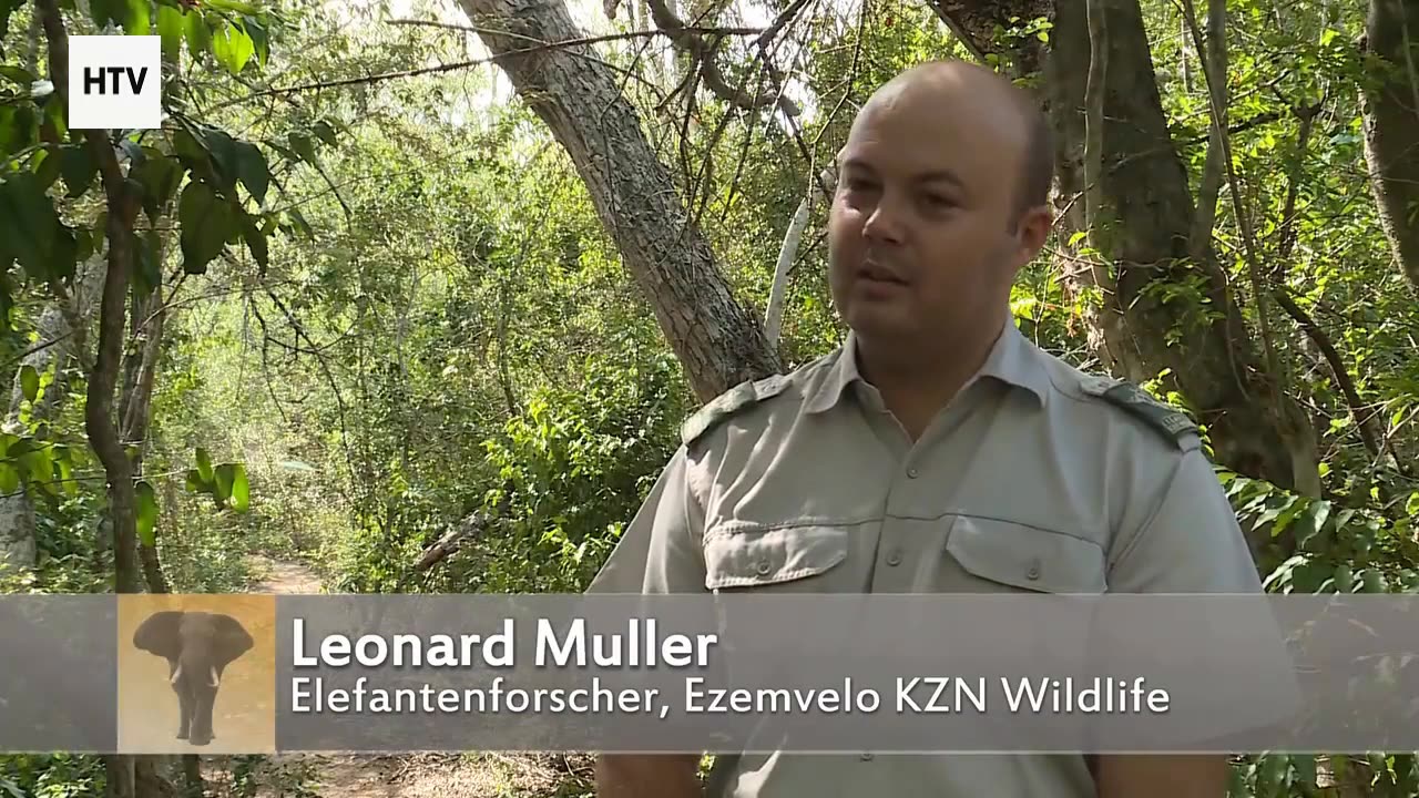 Flying Across Earth’s Most Iconic Landmarks