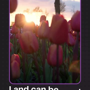 Secure Your Future: Mountain-View Lot Just 90 Minutes from LA!