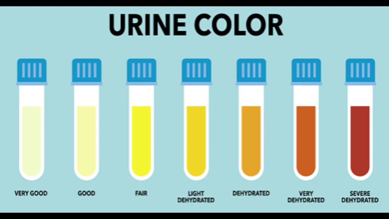 Light Yellow Urine: A Daily Wellness Signal
