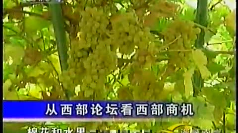 China Central TV CCTV3 September 11, 2001 1000am-1030am CST