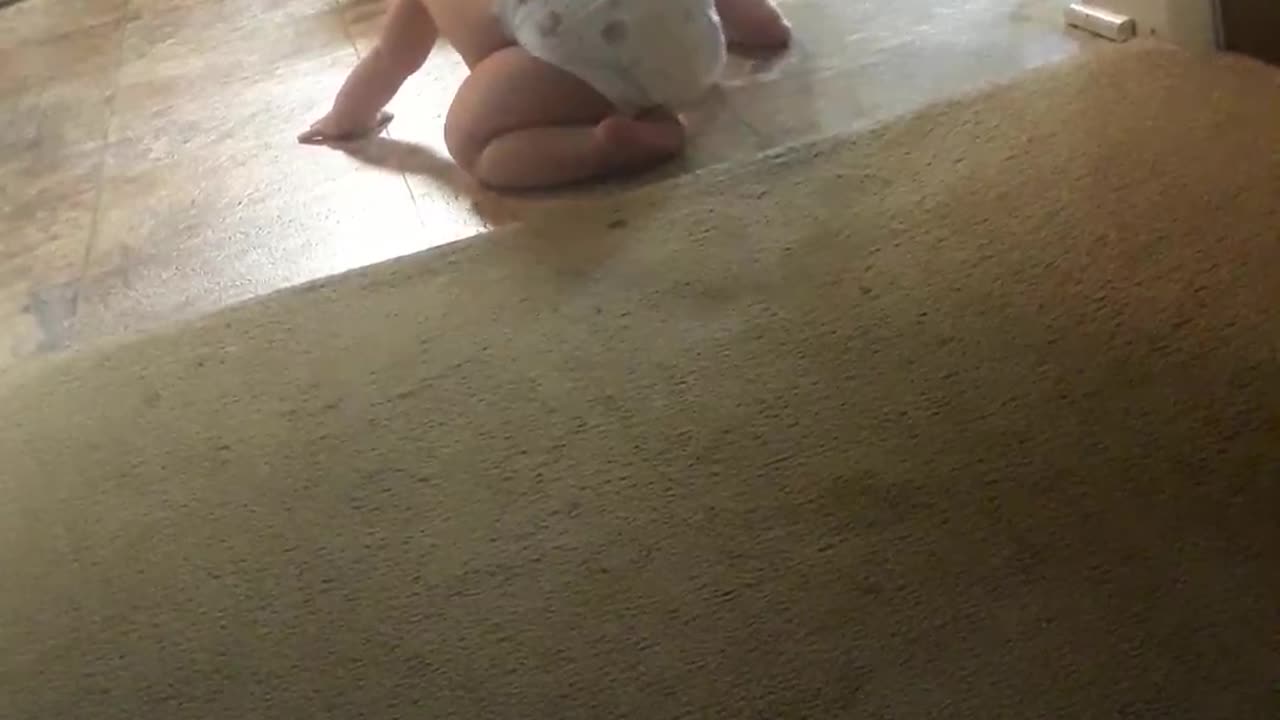 Jasper learning to crawl