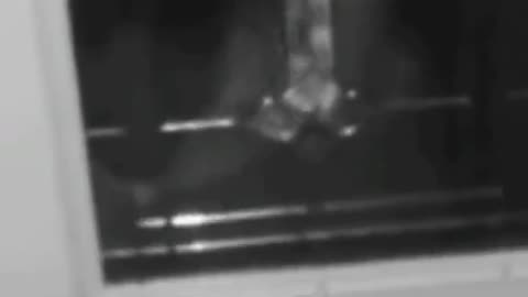 😱👀 What Is That? Unexplained Paranormal Object! | TheHauntingHour