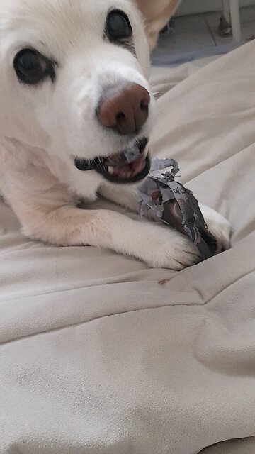 20251106. Only Jesus Christ.