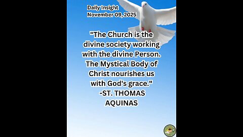 Daily Insight November 09, 2025 #faith #saint #insight