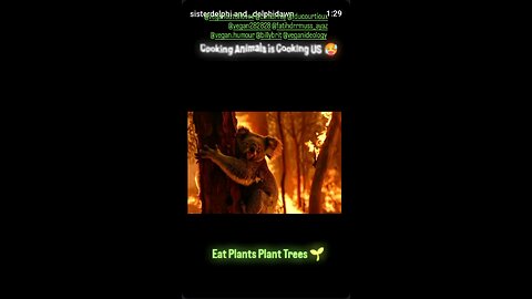 Cooking Animals is Cooking US 🥵🚱💔🐨🔥🚒🐨😓💔🐾