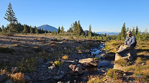 WordHike 83, 2 Sam 5:11-6:23, 1 Chr 13-16, Gal 5