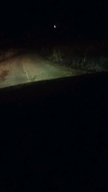 tree smashes electric pole and causes fire in Arkansas after storm