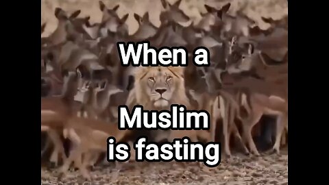 When a Muslim is fasting 😁😁