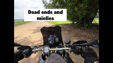 Dead ends and mielies