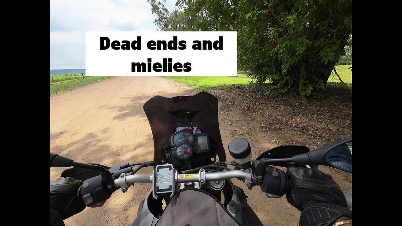 Dead ends and mielies