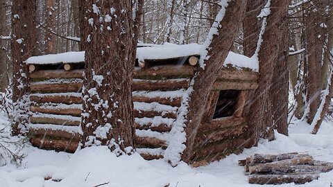 Building a Warm Winter Shelter for Survival in the Wild Woods. Winter Bushcraft. ASMR#BuildingAShelt