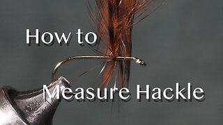 How to measure hackle