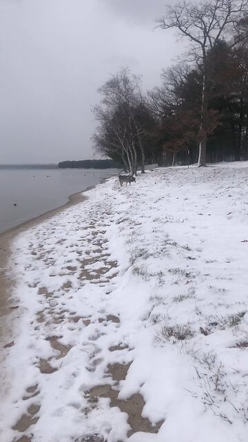 Saturday November 29, If you keep quiet at a time like this.