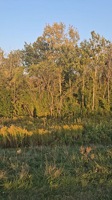 Casting a Long Shadow