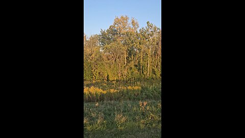 Casting a Long Shadow
