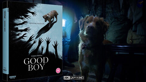 Good Boy [Vertigo Releasing 4K UHD & Bly-ray Collector's Edition]
