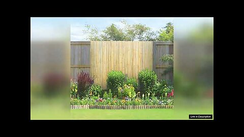 VEVOR Natural Rolled Bamboo Fence Bamboo Panel 6 ft H x 8 Review