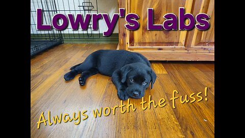 Aurora working here bumper.