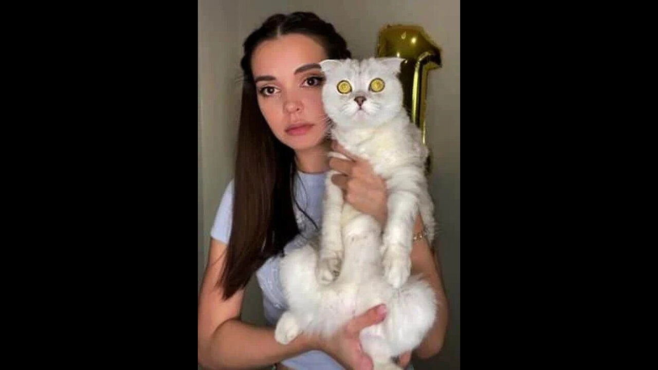 Cat Chaos: When Your Feline Thinks It’s the Boss 😹 | Hilarious Woman & Cat Moments