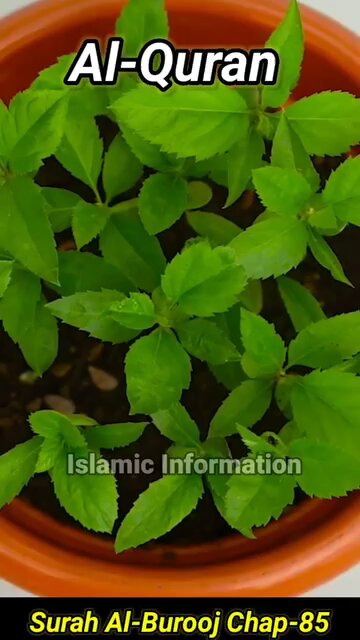 Surah Al Barooj #alquran #bayan #unfrezzmyaccount #qurantranslation313#pind25#pindawale ‎⁨@MVM25⁩