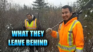 What They Leave In the Bush