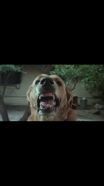 The Howling Highlights - Werewolf Horror Legend