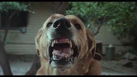 The Howling Highlights - Werewolf Horror Legend